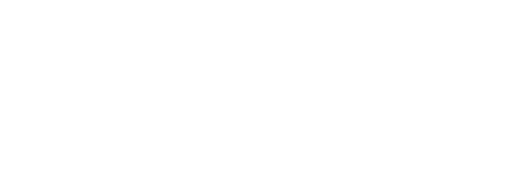 Millennialz Germany Logo weiß transparenter Hintergrund